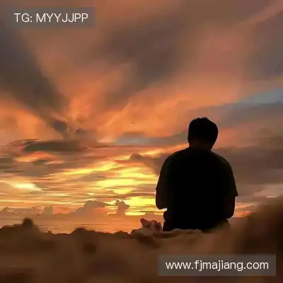 惠月泽